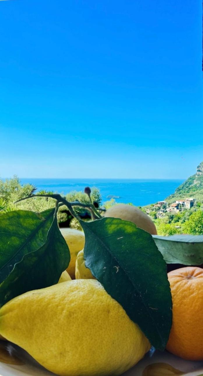 הוילה פיאנו די סורנטו Wanderlust מראה חיצוני תמונה